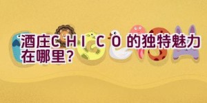 酒庄CHICO的独特魅力在哪里？