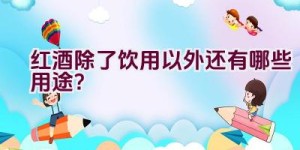 红酒除了饮用以外还有哪些用途？