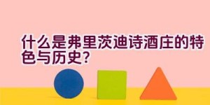 “什么是弗里茨迪诗酒庄的特色与历史？”