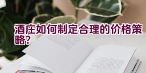 酒庄如何制定合理的价格策略？