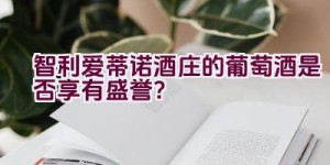 智利爱蒂诺酒庄的葡萄酒是否享有盛誉？