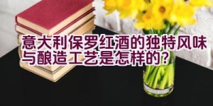 “意大利保罗红酒的独特风味与酿造工艺是怎样的？”