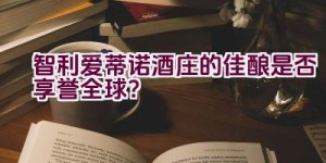 智利爱蒂诺酒庄的佳酿是否享誉全球？