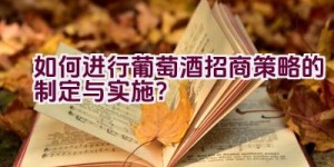 如何进行葡萄酒招商策略的制定与实施？