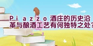 “Piazzo酒庄的历史沿革与酿酒工艺有何独特之处？”