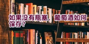 如果没有瓶塞，葡萄酒如何保存？