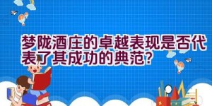 梦陇酒庄的卓越表现是否代表了其成功的典范？