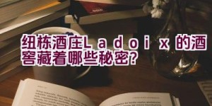 纽栋酒庄Ladoix的酒窖藏着哪些秘密？