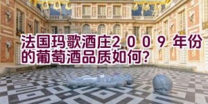 法国玛歌酒庄2009年份的葡萄酒品质如何？