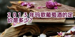 2013年玛歌葡萄酒的定价是多少？