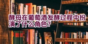 酵母在葡萄酒发酵过程中扮演了什么角色？