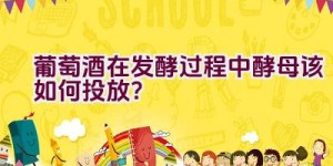 葡萄酒在发酵过程中酵母该如何投放？