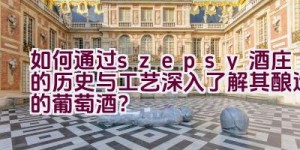 “如何通过szepsy酒庄的历史与工艺深入了解其酿造的葡萄酒？”