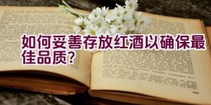 如何妥善存放红酒以确保最佳品质？