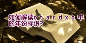 如何解读otardxo中的年份标识？