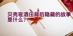 “贝壳弯酒庄背后隐藏的故事是什么？”