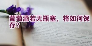 葡萄酒若无瓶塞，将如何保存？