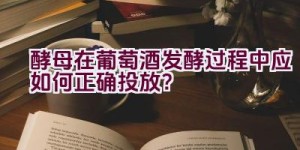 酵母在葡萄酒发酵过程中应如何正确投放？