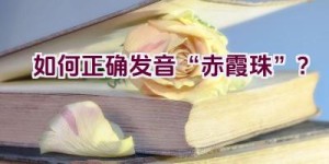 如何正确发音“赤霞珠”？