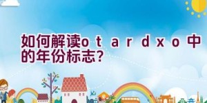 “如何解读otardxo中的年份标志？”