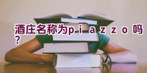 酒庄名称为piazzo吗？