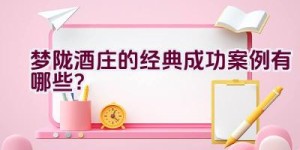 梦陇酒庄的经典成功案例有哪些？