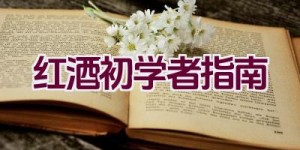 红酒初学者指南