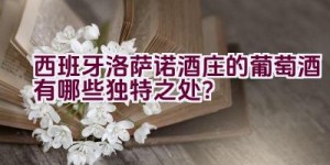 西班牙洛萨诺酒庄的葡萄酒有哪些独特之处？