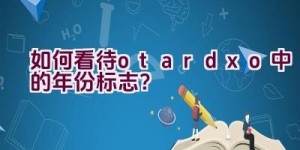 如何看待”otardxo”中的年份标志？