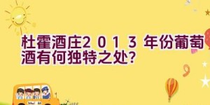 杜霍酒庄2013年份葡萄酒有何独特之处？