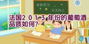 法国2013年份的葡萄酒品质如何？