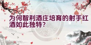 “为何智利酒庄培育的射手红酒如此独特？”