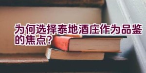 为何选择泰地酒庄作为品鉴的焦点？