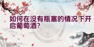 如何在没有瓶塞的情况下开启葡萄酒？