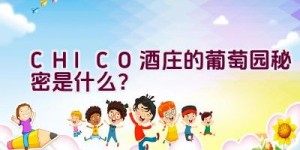 CHICO酒庄的葡萄园秘密是什么？