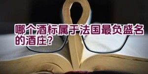 哪个酒标属于法国最负盛名的酒庄？