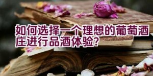 如何选择一个理想的葡萄酒庄进行品酒体验？