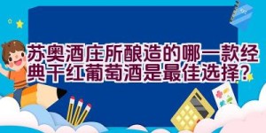 苏奥酒庄所酿造的哪一款经典干红葡萄酒是最佳选择？