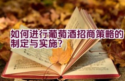 如何进行葡萄酒招商策略的制定与实施？