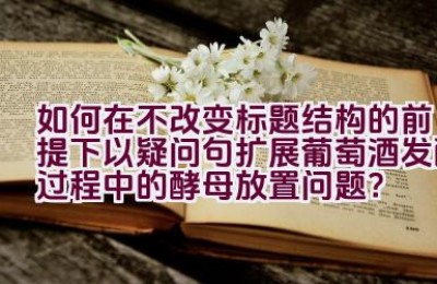 如何在不改变标题结构的前提下以疑问句扩展葡萄酒发酵过程中的酵母放置问题？