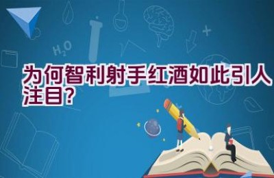 为何智利射手红酒如此引人注目？