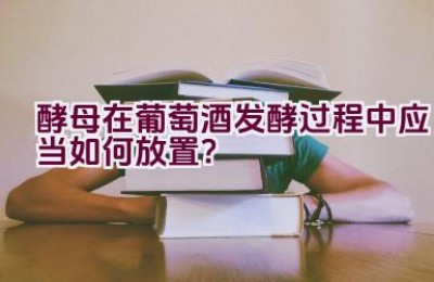 酵母在葡萄酒发酵过程中应当如何放置？