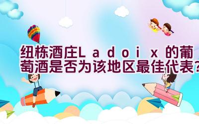 纽栋酒庄Ladoix的葡萄酒是否为该地区最佳代表？插图