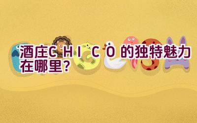 酒庄CHICO的独特魅力在哪里？插图