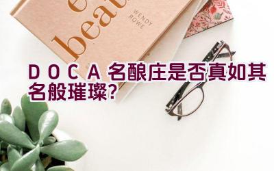 DOCA名酿庄是否真如其名般璀璨？插图