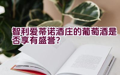 智利爱蒂诺酒庄的葡萄酒是否享有盛誉？插图