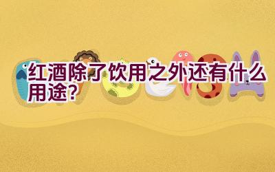 红酒除了饮用之外还有什么用途？插图