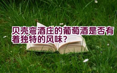 贝壳弯酒庄的葡萄酒是否有着独特的风味？插图