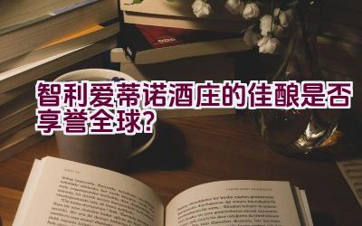 智利爱蒂诺酒庄的佳酿是否享誉全球？插图