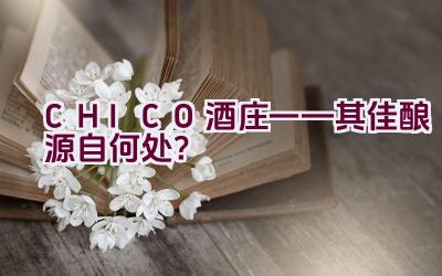 CHICO酒庄——其佳酿源自何处？插图